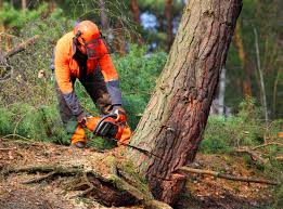 Lawn Maintenance Plans in Garrett, WA